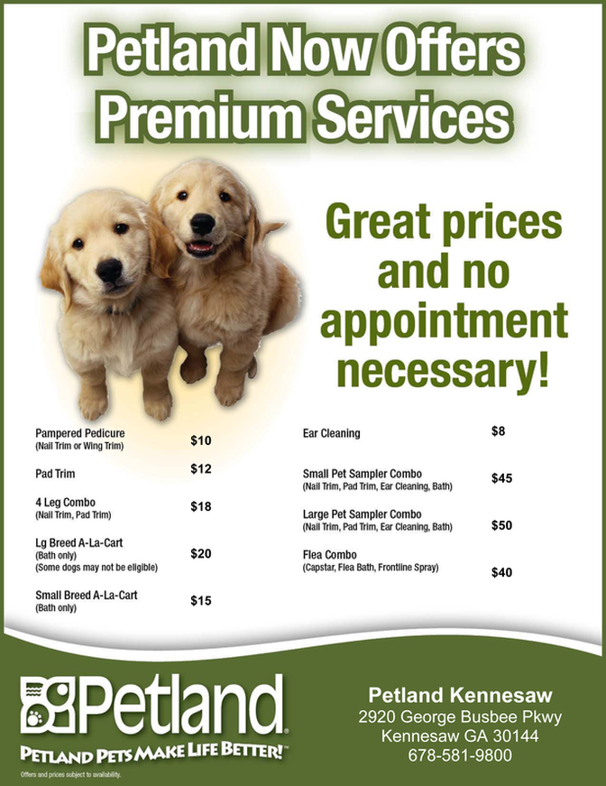 dog grooming in kennesaw