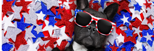 Are Your Dogs Ready for the 4th of July?