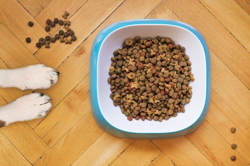 what does hydrolyzed mean in dog food