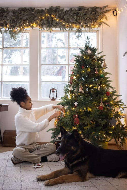Ways to Make the Holidays Safer for Pets