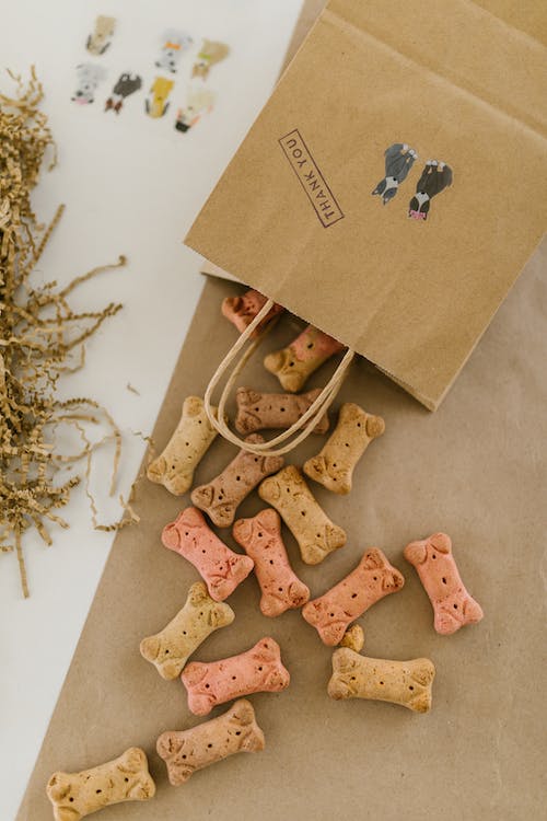 Homemade Dog Treats Your Pup Is Going to Love!