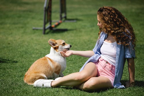 Tips on Keeping Your Pup Healthy in The Summer